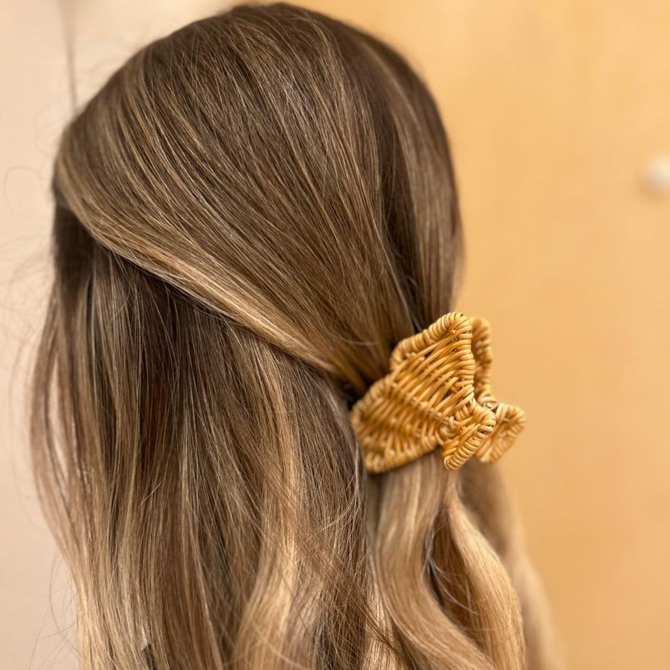 Shell Hair Clip