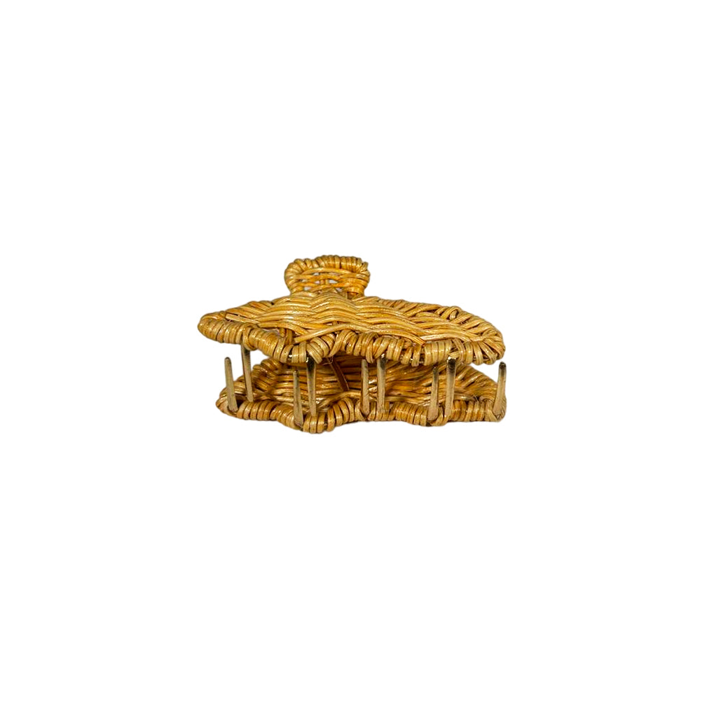 Shell Hair Clip