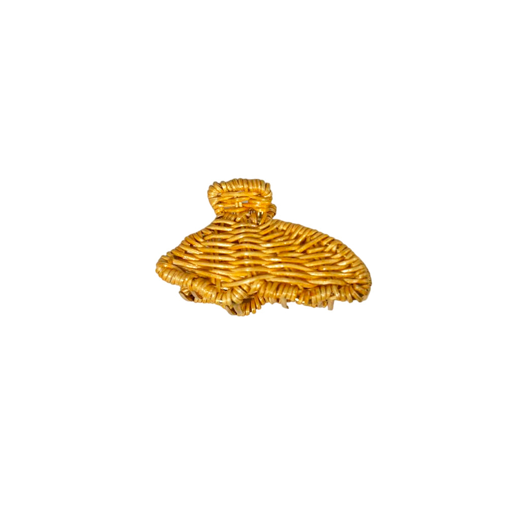 Shell Hair Clip