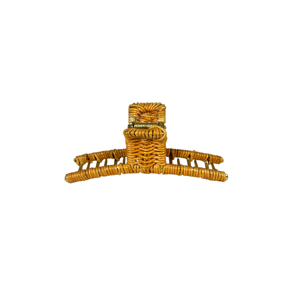 Line Hair Clip