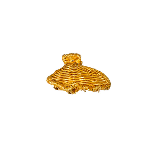 Shell Hair Clip